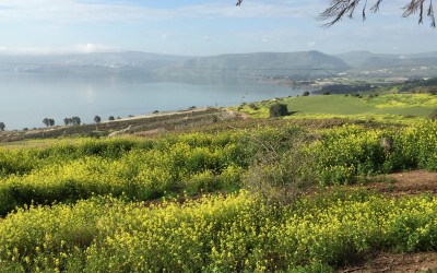 Beatitudes, Tel Dan & Druze Lunch