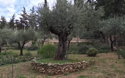 Jerusalem, Mount of Olives, Upper Room & Western Wall